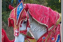 Ghodi-costume