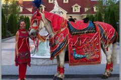 Indian-Wedding-costume-2