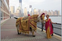 IndianWedding-81