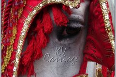costumme-detail-2