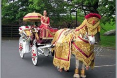 full-costume