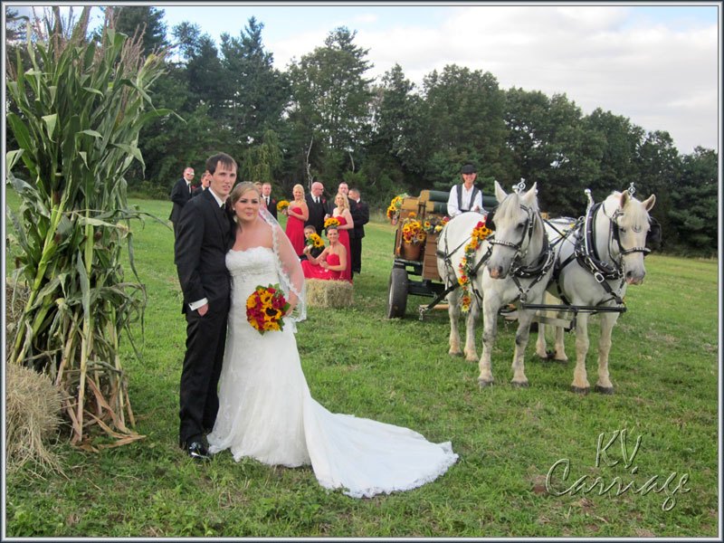 country-wedding-1